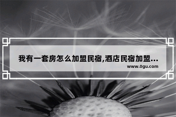 我有一套房怎么加盟民宿,酒店民宿加盟条件