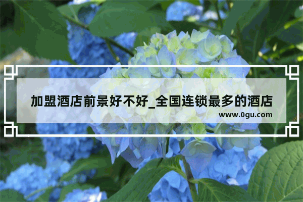 加盟酒店前景好不好_全国连锁最多的酒店