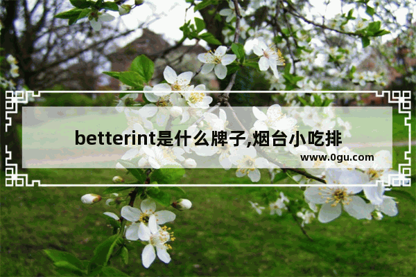 betterint是什么牌子,烟台小吃排名加盟店