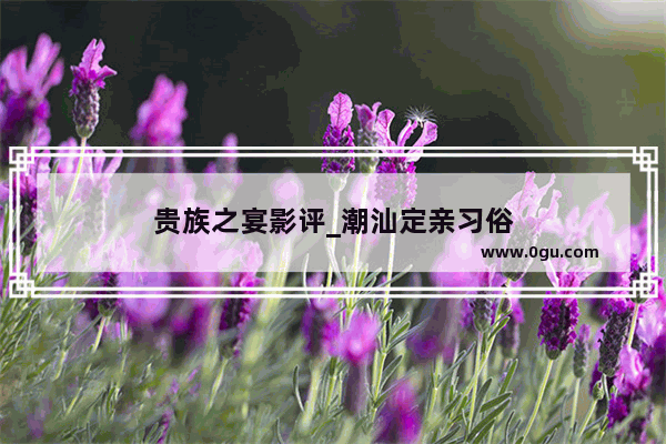 贵族之宴影评_潮汕定亲习俗