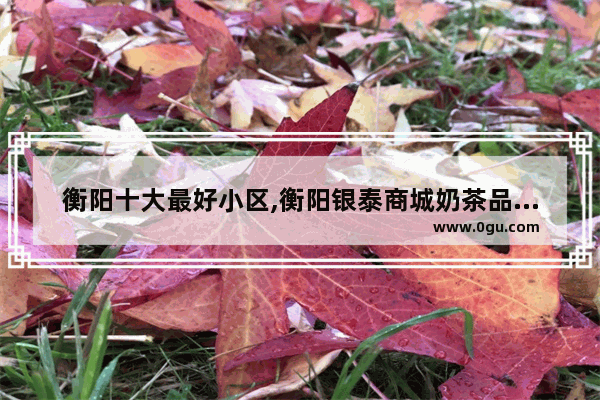 衡阳十大最好小区,衡阳银泰商城奶茶品牌加盟