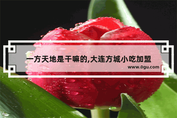 一方天地是干嘛的,大连方城小吃加盟