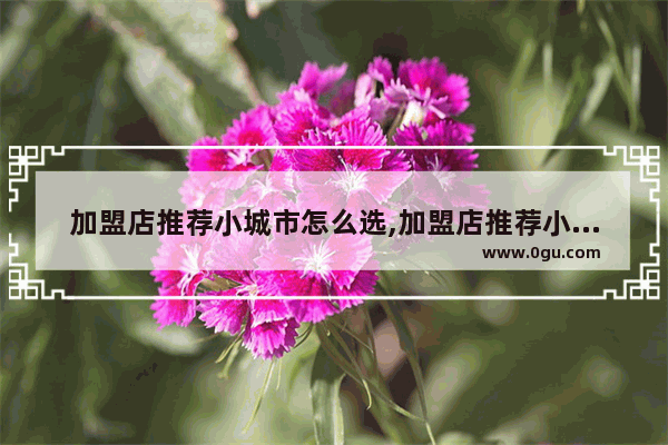 加盟店推荐小城市怎么选,加盟店推荐小城市怎么选