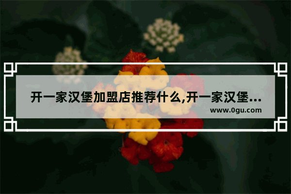 开一家汉堡加盟店推荐什么,开一家汉堡加盟店推荐什么