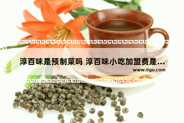 淳百味是预制菜吗 淳百味小吃加盟费是多少