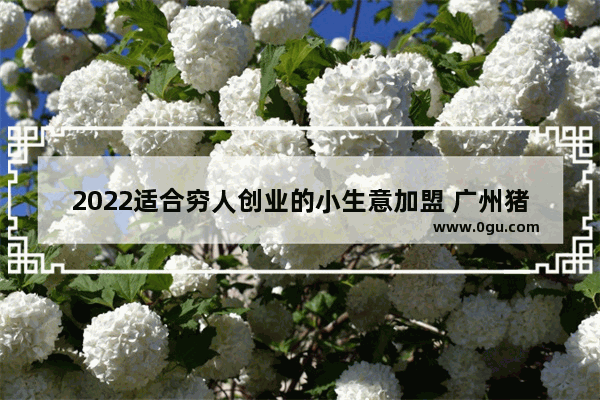 2022适合穷人创业的小生意加盟 广州猪大肠美食店加盟