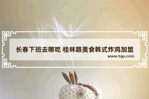 长春下班去哪吃 桂林路美食韩式炸鸡加盟