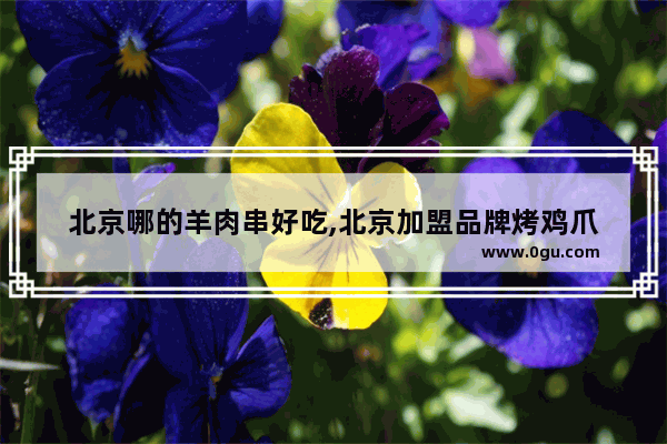 北京哪的羊肉串好吃,北京加盟品牌烤鸡爪