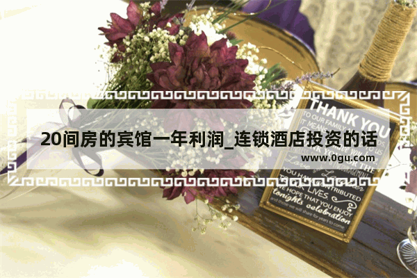 20间房的宾馆一年利润_连锁酒店投资的话要多少钱