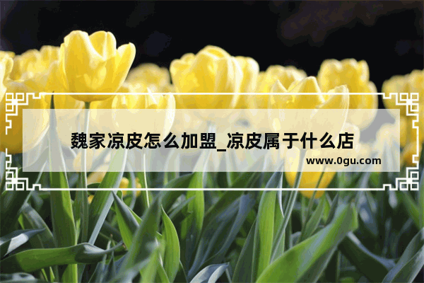魏家凉皮怎么加盟_凉皮属于什么店