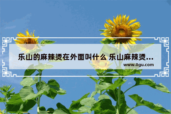 乐山的麻辣烫在外面叫什么 乐山麻辣烫特色美食加盟