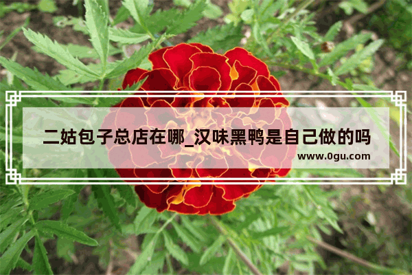 二姑包子总店在哪_汉味黑鸭是自己做的吗