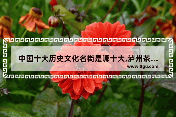 中国十大历史文化名街是哪十大,泸州茶馆探店美食加盟费