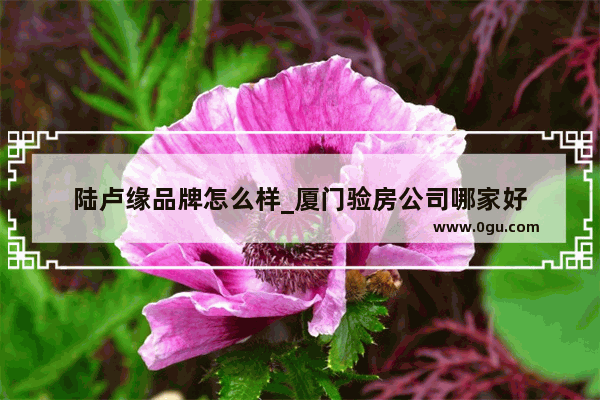 陆卢缘品牌怎么样_厦门验房公司哪家好