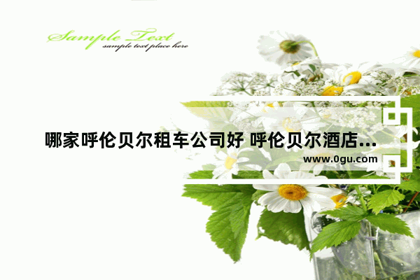 哪家呼伦贝尔租车公司好 呼伦贝尔酒店加盟条件