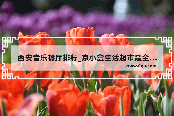 西安音乐餐厅排行_京小盒生活超市是全国连锁店吗