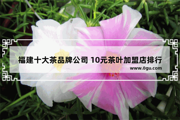 福建十大茶品牌公司 10元茶叶加盟店排行榜