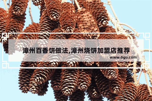 漳州百香饼做法,漳州烧饼加盟店推荐