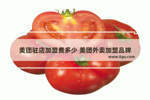 美团驻店加盟费多少 美团外卖加盟品牌