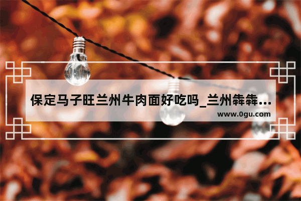 保定马子旺兰州牛肉面好吃吗_兰州犇犇约车加盟条件