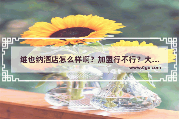维也纳酒店怎么样啊？加盟行不行？大家给点建议~_云朵酒店全国连锁的吗