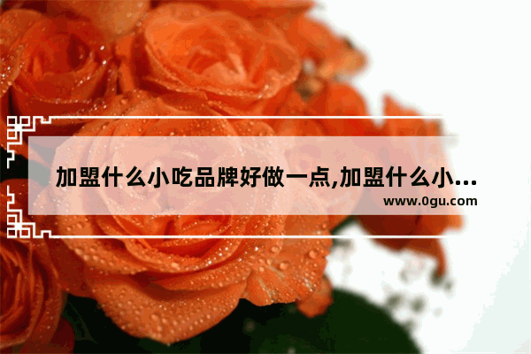 加盟什么小吃品牌好做一点,加盟什么小吃品牌好做一点