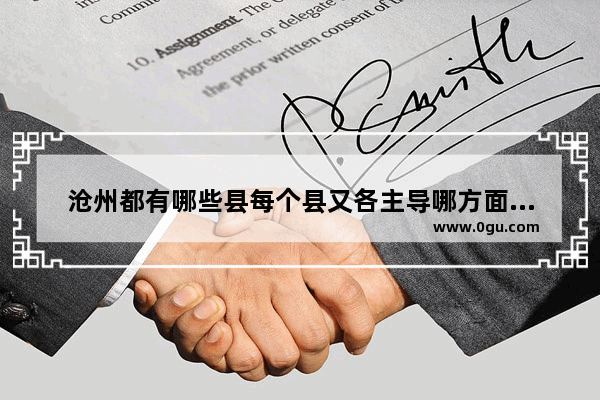 沧州都有哪些县每个县又各主导哪方面的企业 沧县饮品加盟店排行榜前十