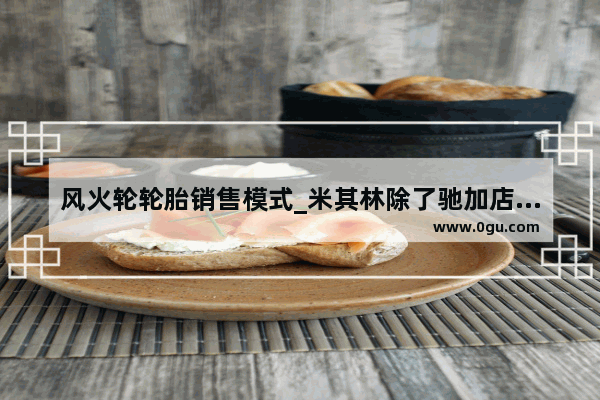 风火轮轮胎销售模式_米其林除了驰加店还有些什么门店啊