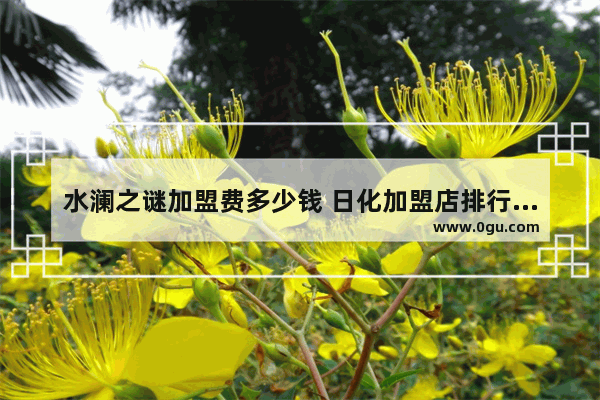 水澜之谜加盟费多少钱 日化加盟店排行榜最新价格