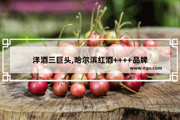 洋酒三巨头,哈尔滨红酒++++品牌