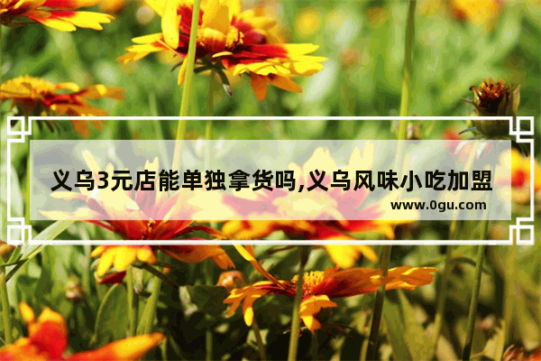 义乌3元店能单独拿货吗,义乌风味小吃加盟推荐