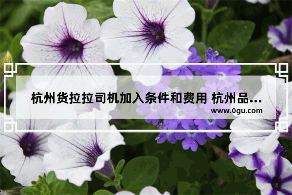 杭州货拉拉司机加入条件和费用 杭州品质小吃加盟收费标准
