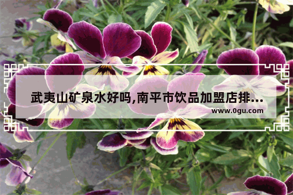 武夷山矿泉水好吗,南平市饮品加盟店排行榜
