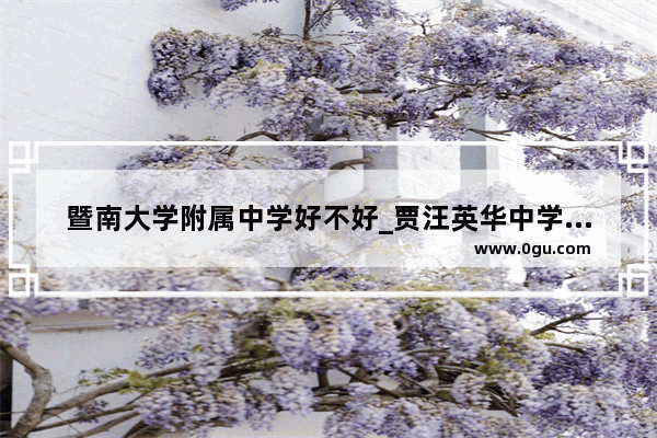 暨南大学附属中学好不好_贾汪英华中学怎么样