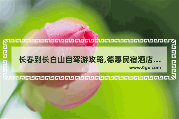 长春到长白山自驾游攻略,德惠民宿酒店怎么加盟好