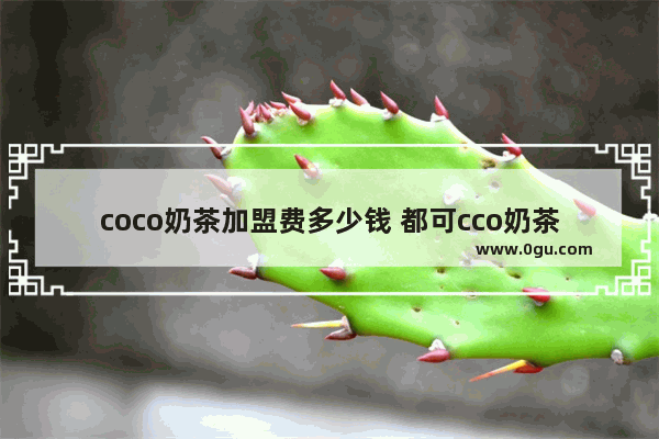 coco奶茶加盟费多少钱 都可cco奶茶加盟费,都可奶茶加盟费流程