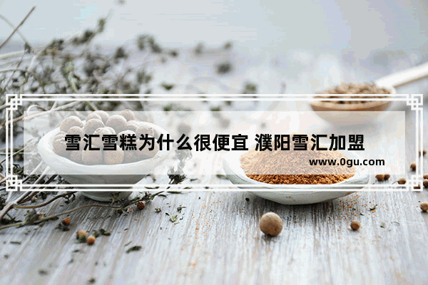 雪汇雪糕为什么很便宜 濮阳雪汇加盟
