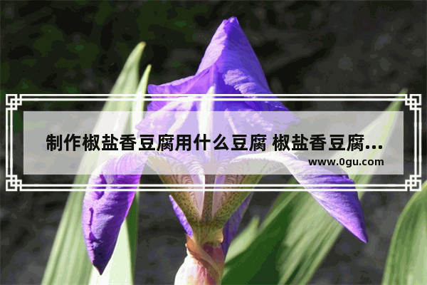制作椒盐香豆腐用什么豆腐 椒盐香豆腐加盟费多少