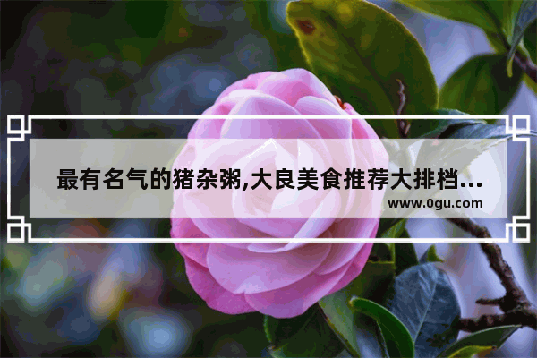 最有名气的猪杂粥,大良美食推荐大排档加盟