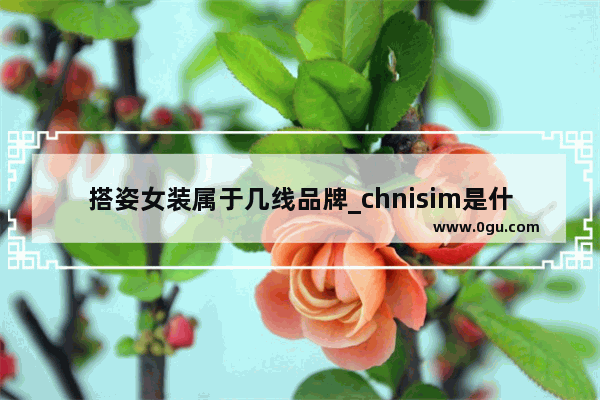 搭姿女装属于几线品牌_chnisim是什么牌子