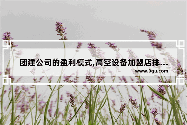 团建公司的盈利模式,高空设备加盟店排行榜
