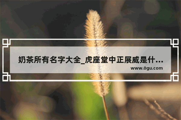 奶茶所有名字大全_虎座堂中正展威是什么意思