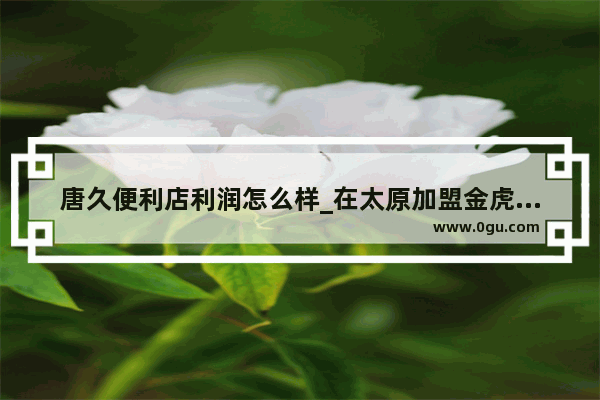 唐久便利店利润怎么样_在太原加盟金虎便利得多少钱