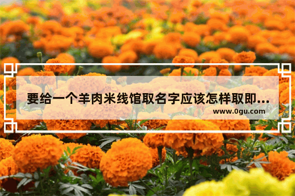 要给一个羊肉米线馆取名字应该怎样取即要霸气又要好听,清香羊肉米线加盟店排行榜