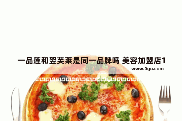 一品莲和翌芙莱是同一品牌吗 美容加盟店10大品牌推荐