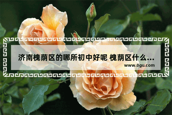 济南槐荫区的哪所初中好呢 槐荫区什么酒店好加盟