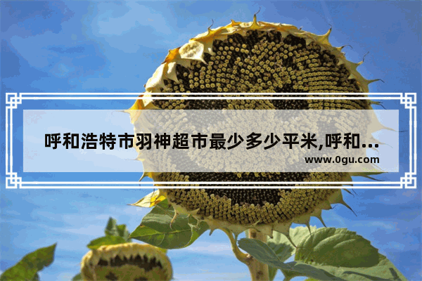 呼和浩特市羽神超市最少多少平米,呼和浩特特色小吃加盟店