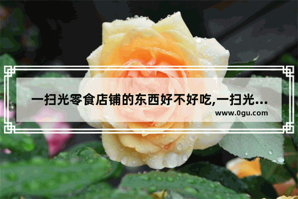 一扫光零食店铺的东西好不好吃,一扫光加盟怎么样