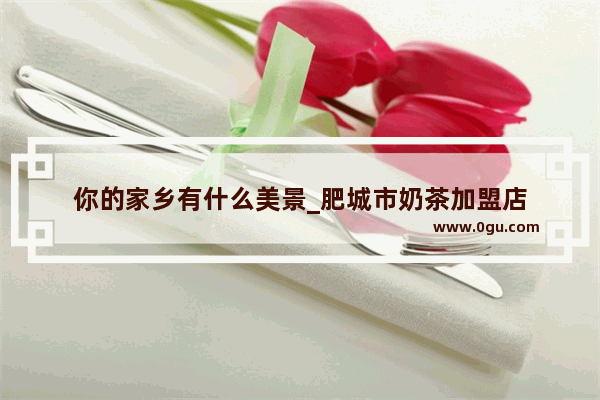 你的家乡有什么美景_肥城市奶茶加盟店