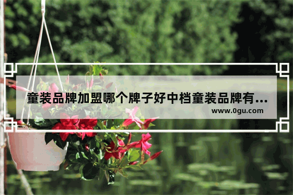 童装品牌加盟哪个牌子好中档童装品牌有哪些_加盟童装有哪些品牌?该怎样加盟?加盟费要多少